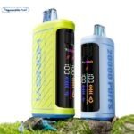 OEM/ODM Disposable Vape 20000puffs