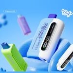 OEM /ODM Disposable Vape 20000puffs – Bild 2