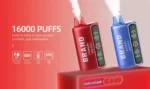 OEM / ODM Disposable Vape 16000Puffs - Imagen 6
