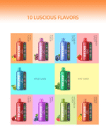 OEM / ODM Disposable Vape 16000Puffs - Imagen 8