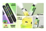 OEM / ODM Disposable Vape 30000Puffs - Afbeelding 8