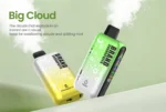 OEM / ODM Disposable Vape 30000Puffs - Afbeelding 12
