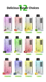 OEM / ODM Disposable Vape 30000Puffs - Afbeelding 14