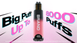 OEM / ODM Disposable Vape 800 PUFFS (TPD Certified) - Imagen 2
