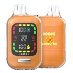 OEM / ODM Disposable Vape 30000Puffs - Immagine 2