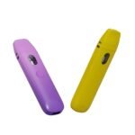 Button Vrsion Disposable Vape Pen - Image 2