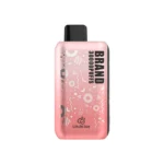 OEM / ODM Disposable Vape 30000Puffs