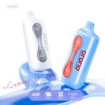 OEM / ODM Disposable Vape 40000puffs